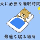 犬の睡眠時間と寝る時間帯