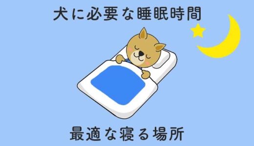 犬の睡眠時間と寝る時間帯